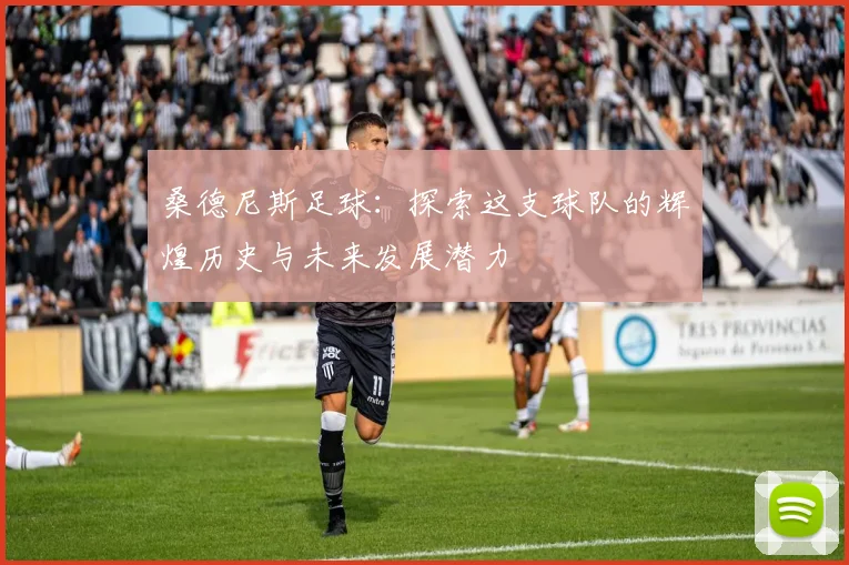 桑德尼斯足球：探索这支球队的辉煌历史与未来发展潜力