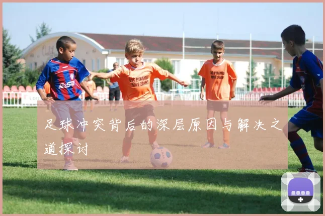 足球冲突背后的深层原因与解决之道探讨