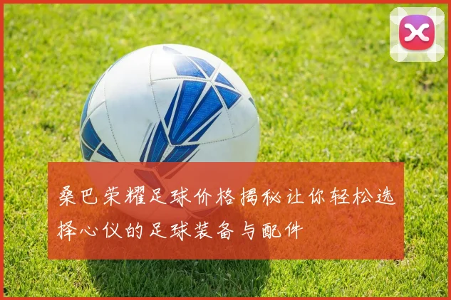 桑巴荣耀足球价格揭秘让你轻松选择心仪的足球装备与配件